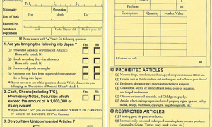 Customs declaration образец